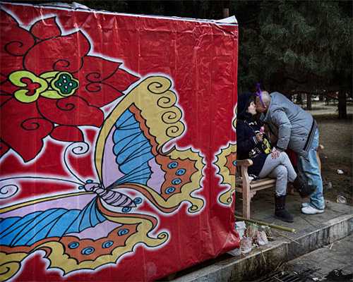 在中国，这五个品种的猫咪最受欢迎，第一名你肯定猜得到