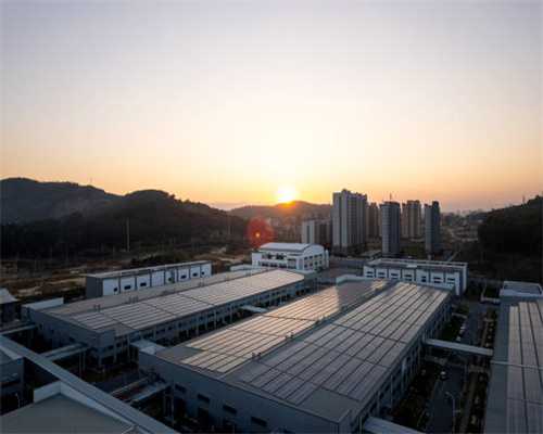 狗狗为什么会患上异食癖？又有哪些症状呢？这几点小知识要了解