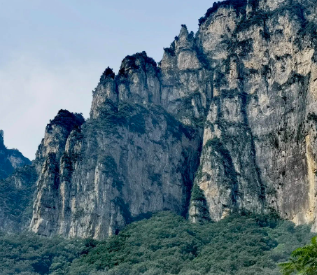 如何给家里小狗狗驱虫？毛孩子用哪种药效果好毒性低？