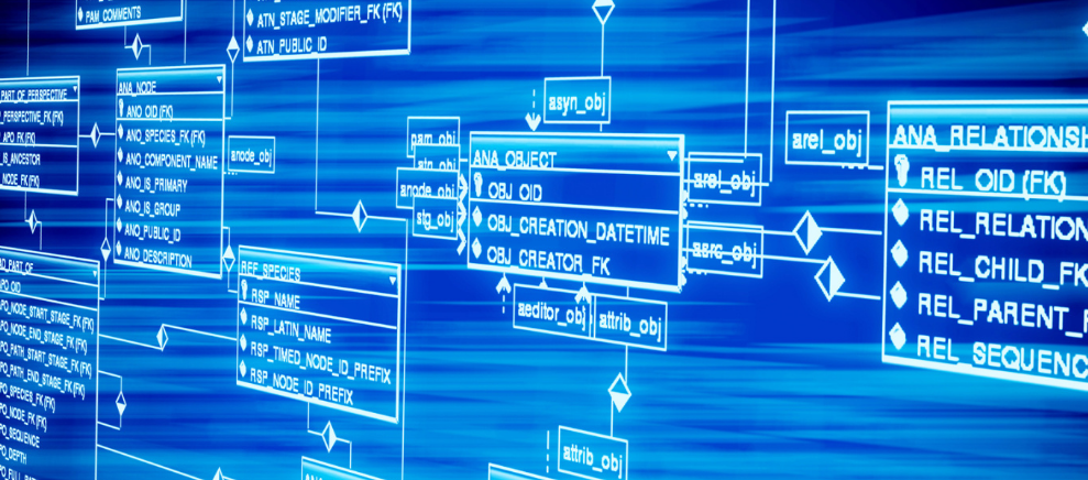 新手养猫要知道的六大答
