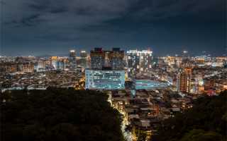 猫咪保健品不断炒作，但生物素没必要，维生素补充过多会毒死