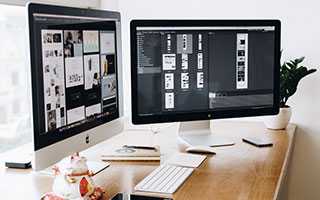 跟猫玩耍也有游戏规则？你能跟猫咪拼体力还是拼脑力？