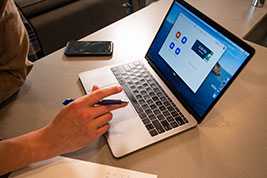 为什么猫舍繁育的猫咪比较贵