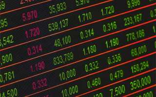 训练狗狗听话有哪些诀窍？不要只知道给好吃的